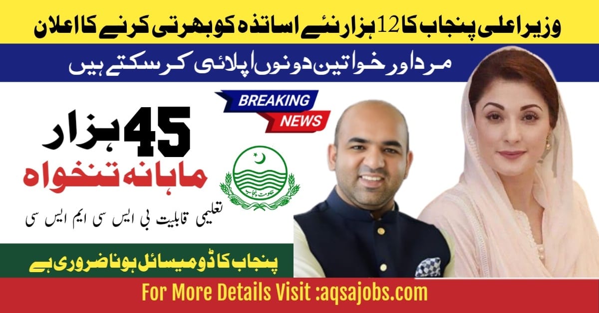 Punjab Education Department Opens 12,500 STI Teaching Jobs in 2025