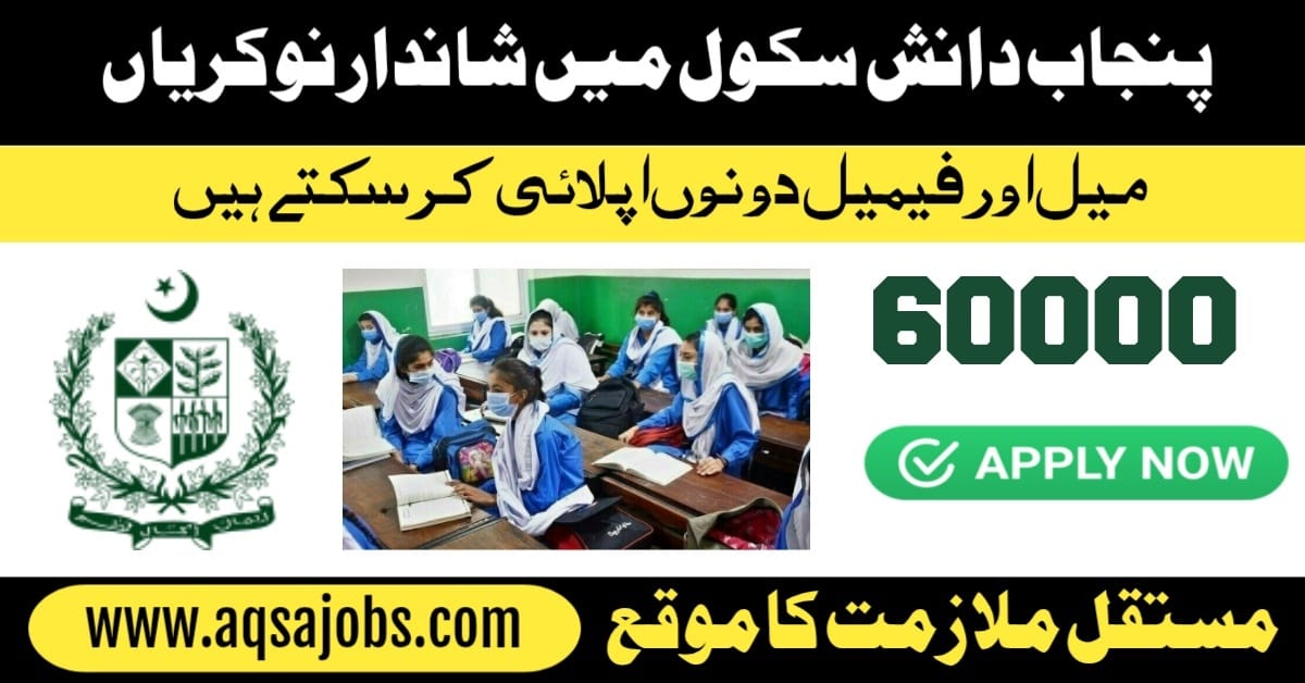 Punjab Daanish Schools & Centres of Excellence Authority Jobs 2025