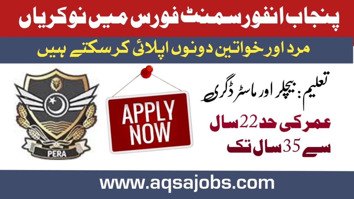 Punjab Enforcement & Regulatory Authority (PERA) Jobs 2025. Apply Online via Punjab Job Portal
