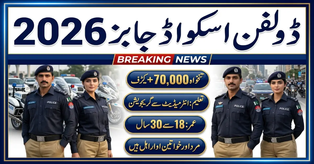 Dolphin Squad & Traffic Assistant Jobs 2026